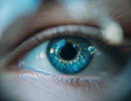 M&ecirc;s de Conscientiza&ccedil;&atilde;o sobre Degenera&ccedil;&atilde;o Macular e Baixa Vis&atilde;o